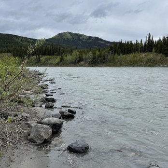 Denali Park Village - Just in the hotel backyard.... So peaceful! - Resorts Near Me - Denali, Alaska