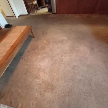 Steamer Pros - Carpet Cleaning Near Me - San Jose, California Steamer Pros - Carpet Cleaning Near Me - San Jose, California