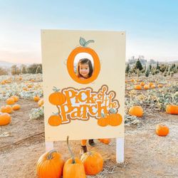 Family Christmas Tree Farm - Pick of the Patch!