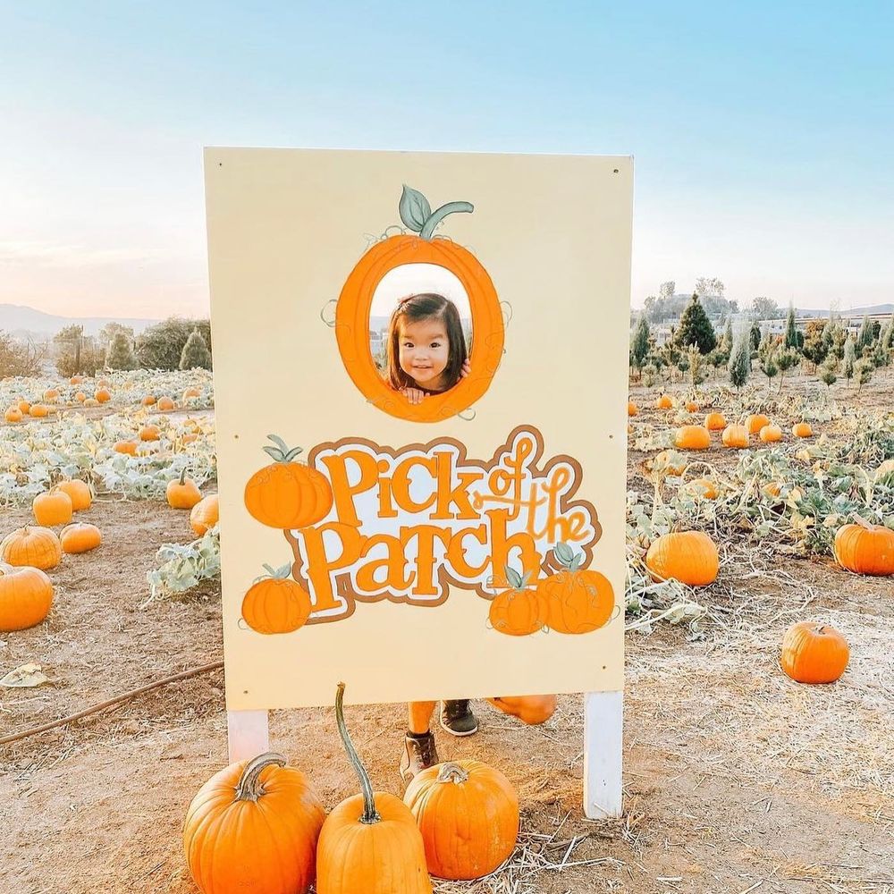 FAMILY CHRISTMAS TREE FARM 84 Photos & 100 Reviews 300 Pepper Dr