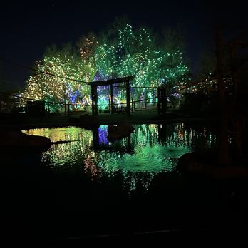 Denver Zoo Lights - Lights - Festivals Near Me - Denver, Colorado