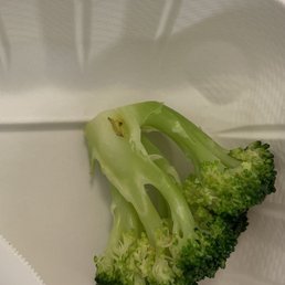 There are worms in the broccoli!! Would never come here again There are worms in the broccoli!! Would never come here again