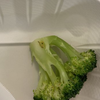 Samurai Express - There are worms in the broccoli!! Would never come here again - Japanese Near Me - Boston, Massachusetts Samurai Express - There are worms in the broccoli!! Would never come here again - Japanese Near Me - Boston, Massachusetts