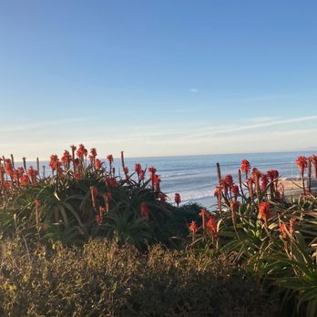 Moonlight Beach Overlook - Parks Near Me - Encinitas, California Moonlight Beach Overlook - Parks Near Me - Encinitas, California