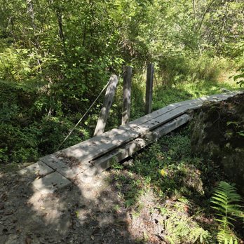 Mountain View Campground - Ash's trail has a single file boardwalk at the beginning - Campgrounds Near Me - Morrisville, Vermont