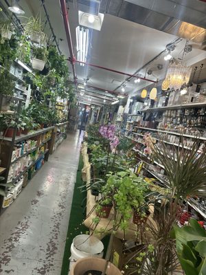 Mushtari Hardware & Garden by null