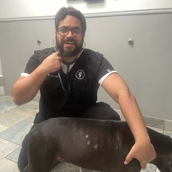 Southpointe Veterinary Hospital - Dr. Acevedo - Veterinarians Near Me - Allen Park, Michigan