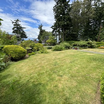 CavoHome Enhancements - Lawn Maintenance - Pressure Washers Near Me