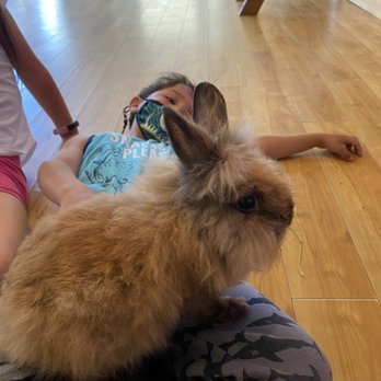 Barefoot Atelier - Who wouldn't enjoy playing with this furry little fella?!! - Preschools Near Me - Los Angeles, California Barefoot Atelier - Who wouldn't enjoy playing with this furry little fella?!! - Preschools Near Me - Los Angeles, California