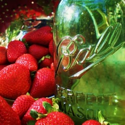 Vinnies Farm Market