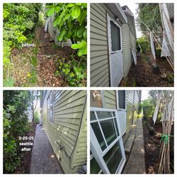 Big Boss Pressure Washing - Before and after side of house with "discovered" sidewalk.