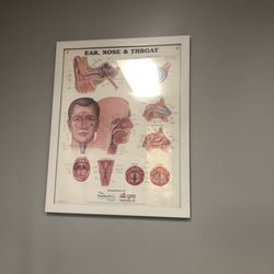 Paul E Lapco, MD - Ear, Nose, and throat example Chart