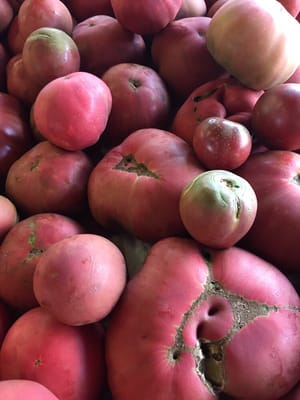 Farmers market in Kirkwood by null