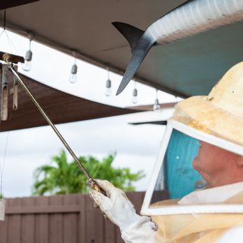 AAA Star Treat Pest Services - Pest Control Near Me