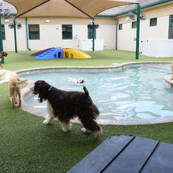 Bayside Pet Resort