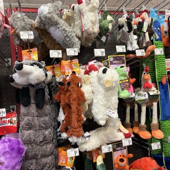 Petco - Toys - Pet Stores Near Me - Buffalo, New York Petco - Toys - Pet Stores Near Me - Buffalo, New York