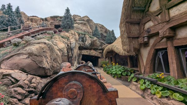 Seven Dwarfs Mine Train by null