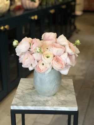 Avant Garden by null