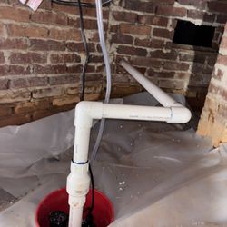 Palmetto Crawl Space Repair - Sump pump install