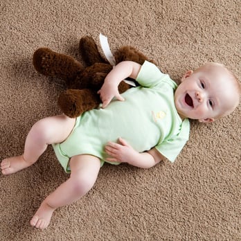 Oxi Fresh Carpet Cleaning - Carpet Cleaning Near Me Oxi Fresh Carpet Cleaning - Carpet Cleaning Near Me