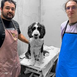 Texas Allbreed Grooming School - Doodle grooming shepadoodle