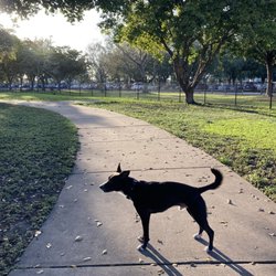 Bark Park