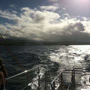 Capt Andy's - Na Pali snorkel tour - Boat Tours Near Me - Ele'ele, Hawaii