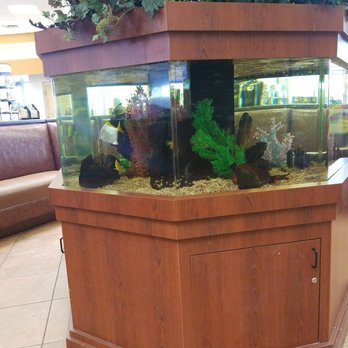 Jacksons Car Wash - Beautiful aquarium inside - Car Wash Near Me - Tempe, Arizona Jacksons Car Wash - Beautiful aquarium inside - Car Wash Near Me - Tempe, Arizona