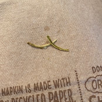 Chipotle Mexican Grill - PIECE OF BONE IN MY VEGAN BURRITO - Mexican Near Me - Lake Worth, Florida Chipotle Mexican Grill - PIECE OF BONE IN MY VEGAN BURRITO - Mexican Near Me - Lake Worth, Florida