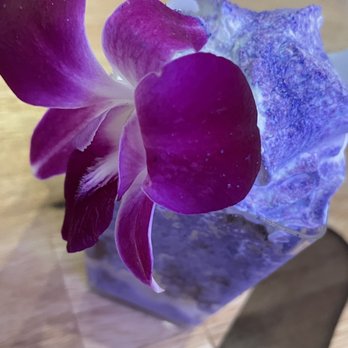 Taco Love - Ube tres leches, are you kidding, so good, it should be illegal - Tacos Near Me - Davie, Florida Taco Love - Ube tres leches, are you kidding, so good, it should be illegal - Tacos Near Me - Davie, Florida