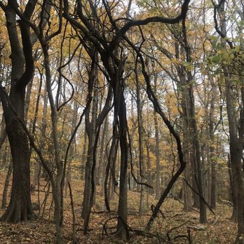 Infirmary Mound Park - Parks Near Me - Granville, Ohio