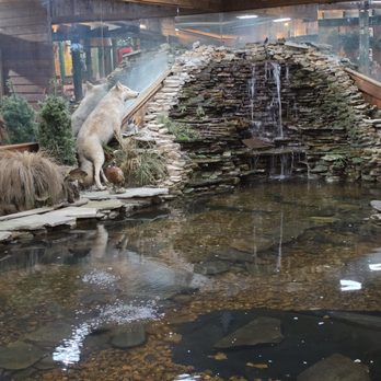 Caney Fork River Valley Grille - Indoor fish pond - American Near Me - Nashville, Tennessee