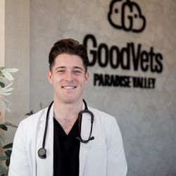 GoodVets Paradise Valley