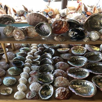 The Shell Shop - Arts & Crafts Near Me - Morro Bay, California The Shell Shop - Arts & Crafts Near Me - Morro Bay, California