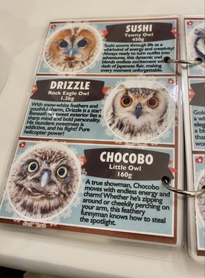 Owl Cafe Tokyo by null