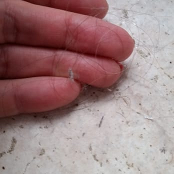 Let's Clean - Hair on bathroom floor... Seemed like they mopped a bunch of it around... this was what I got when I swiped my fingers across the floor. - Home Cleaning Near Me - Sterling, Virginia