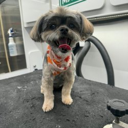 Bark & Mane of Sarasota