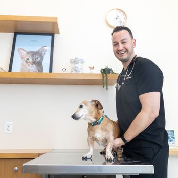 Sploot Veterinary Care - Roscoe Village - Veterinarians Near Me - Chicago, Illinois Sploot Veterinary Care - Roscoe Village - Veterinarians Near Me - Chicago, Illinois