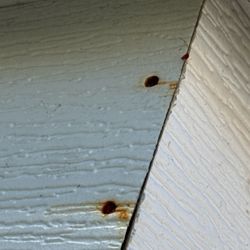 Duncan Roofs - Photo of the fascia of my new roof install showing nails rusting.