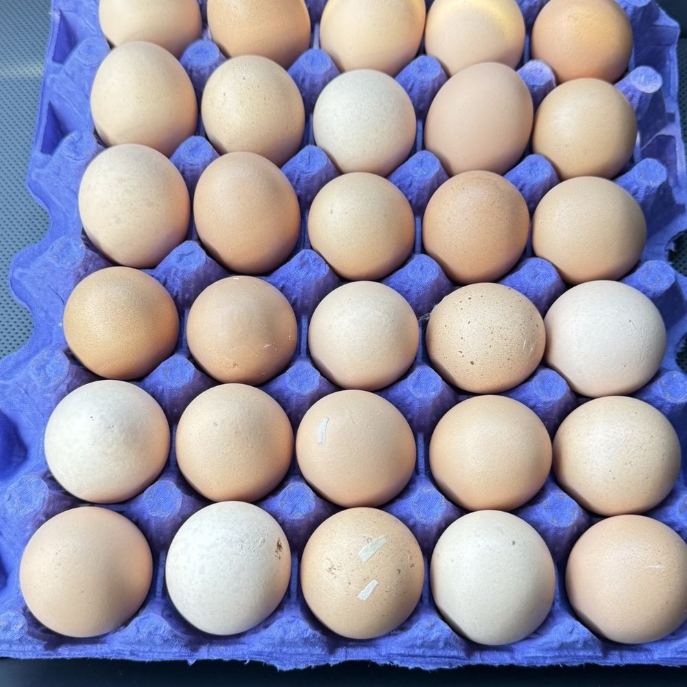 Billy's Egg Farm - 30 egg flat - $16 for ex-large - Specialty Food Near Me - Chino, California