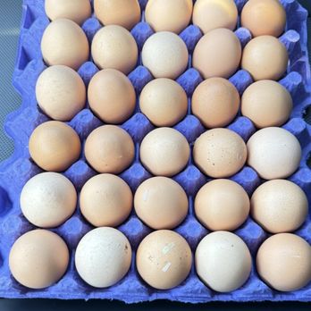 Billy's Egg Farm - 30 egg flat - $16 for ex-large - Specialty Food Near Me - Chino, California Billy's Egg Farm - 30 egg flat - $16 for ex-large - Specialty Food Near Me - Chino, California