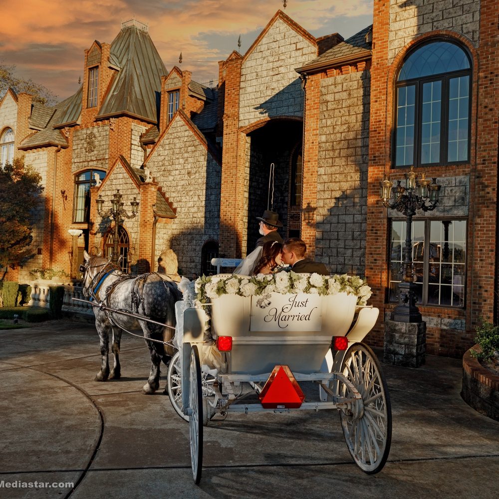 Southern Charm Carriages - equestrian in Selma, NC