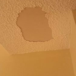 SeaShore Realty Group - Pieces missing from the ceiling