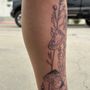 The Painted Rose
