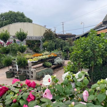 NICHOLSON HARDIE - NURSERY AND GARDEN CENTER - Updated February 2026