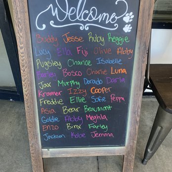Camino Veterinary Hospital - Sing in front with the dogs they are seeing for the day! - Veterinarians Near Me - San Clemente, California Camino Veterinary Hospital - Sing in front with the dogs they are seeing for the day! - Veterinarians Near Me - San Clemente, California