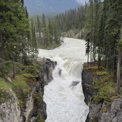 Sunwapta Falls