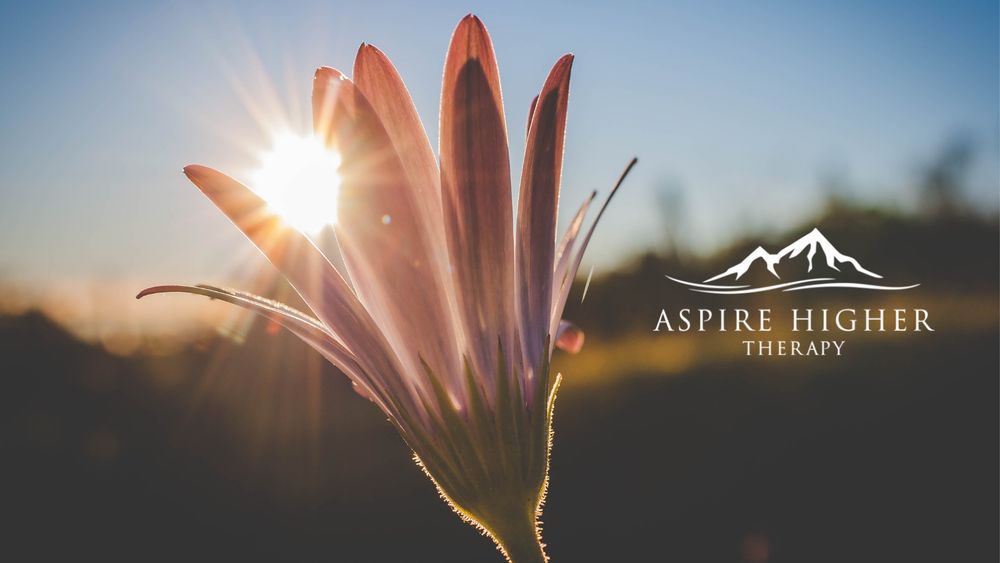 Aspire Higher Therapy - child therapist in Fort Collins, CO