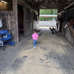 Rocky Creek Alpaca Farm