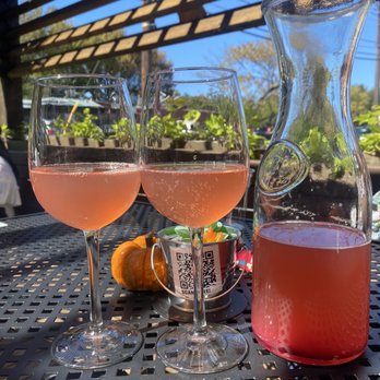 Alamo Club - Blood orange mimosas - New American Near Me - Dallas, Texas